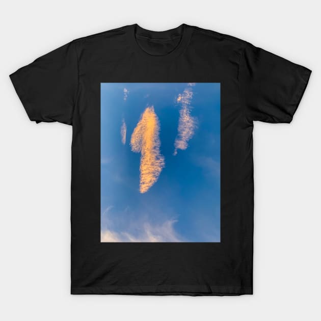 Cloud T-Shirt by Ckauzmann